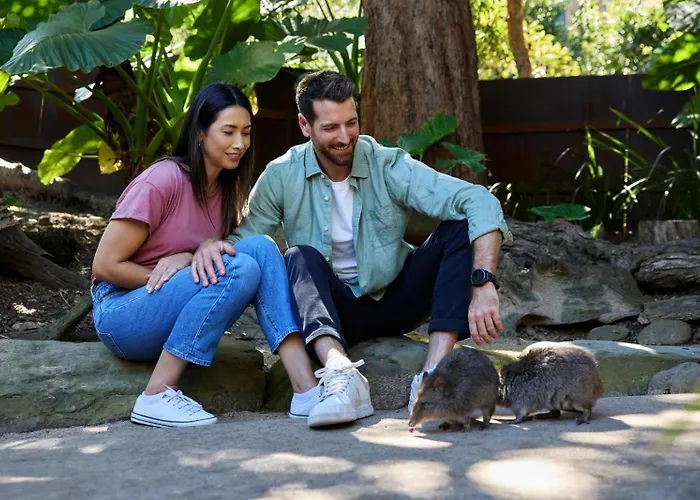 Wildlife Retreat At Taronga